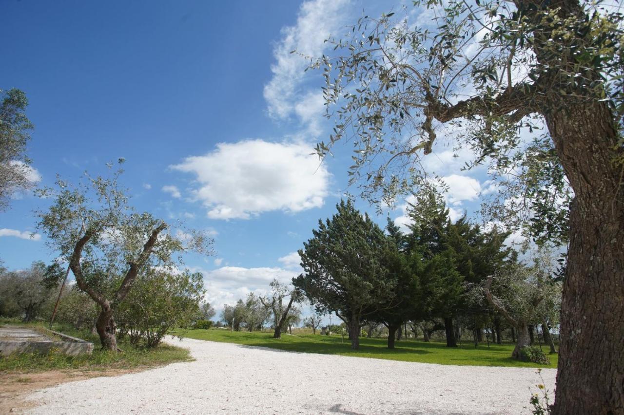 Gli Ulivi Di Gino Bed & Breakfast Sanarica Bagian luar foto