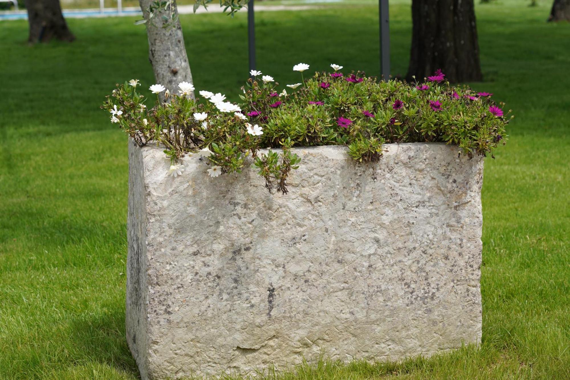 Gli Ulivi Di Gino Bed & Breakfast Sanarica Bagian luar foto