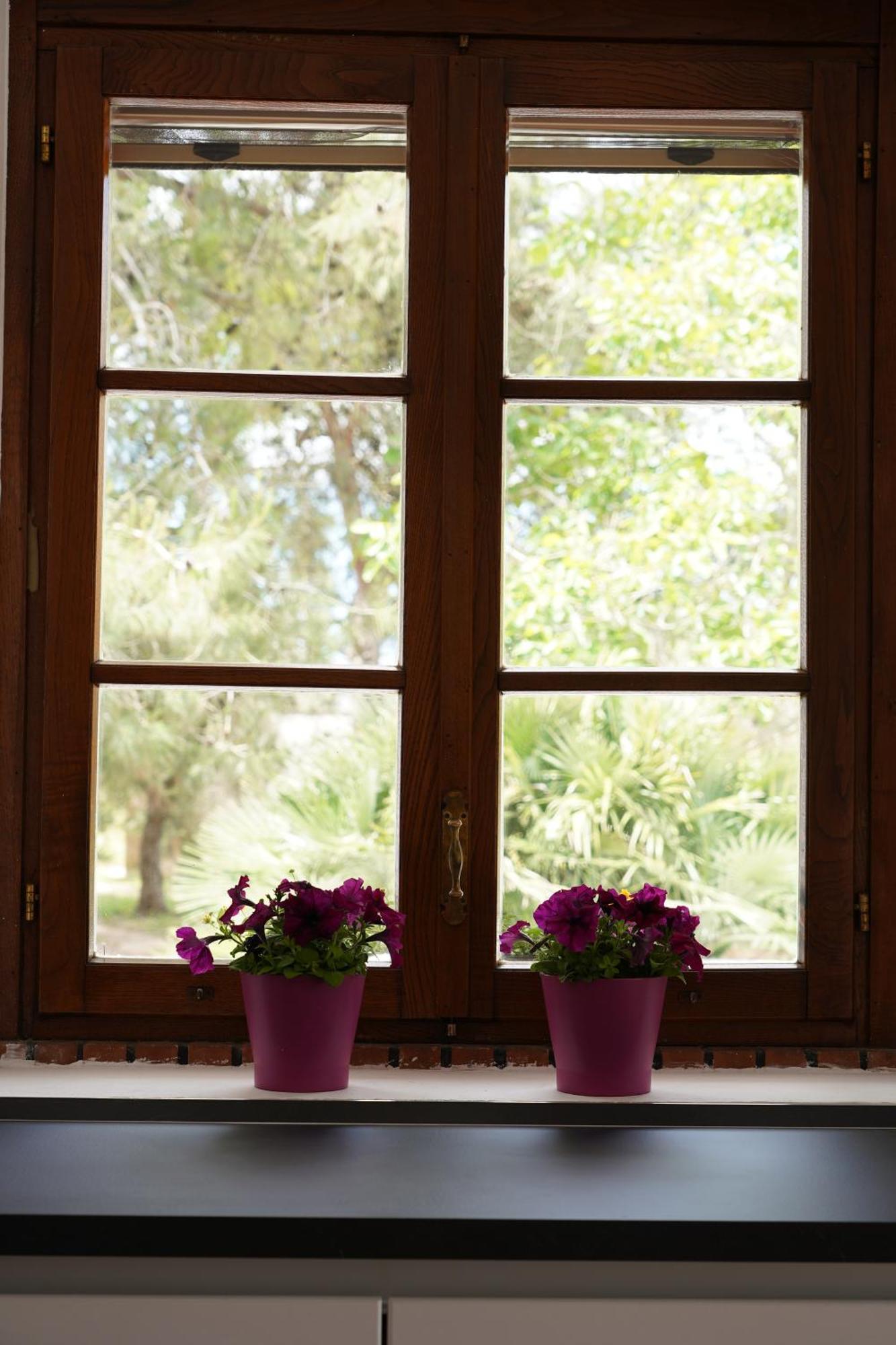 Gli Ulivi Di Gino Bed & Breakfast Sanarica Bagian luar foto